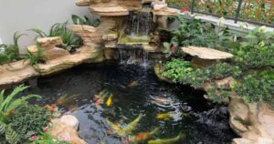 Hòn non bộ hồ cá koi